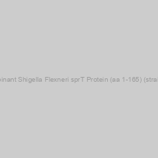 Image of Recombinant Shigella Flexneri sprT Protein (aa 1-165) (strain 8401)